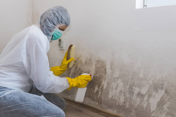 Best Crawl Space Mold Removal  in Strawberry Point, IA