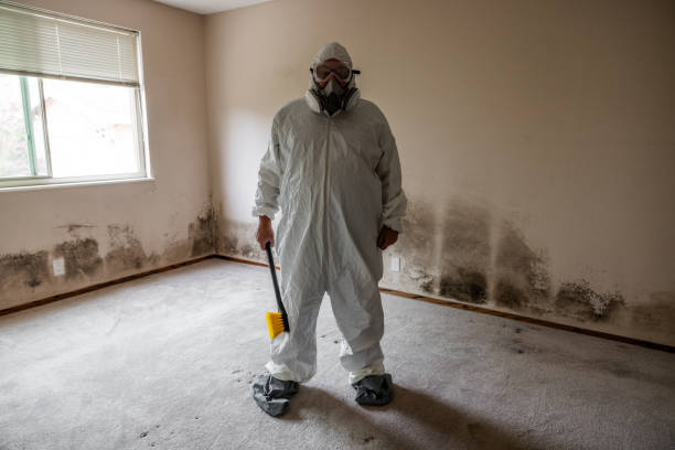 Best Mold Testing  in Strawberry Point, IA
